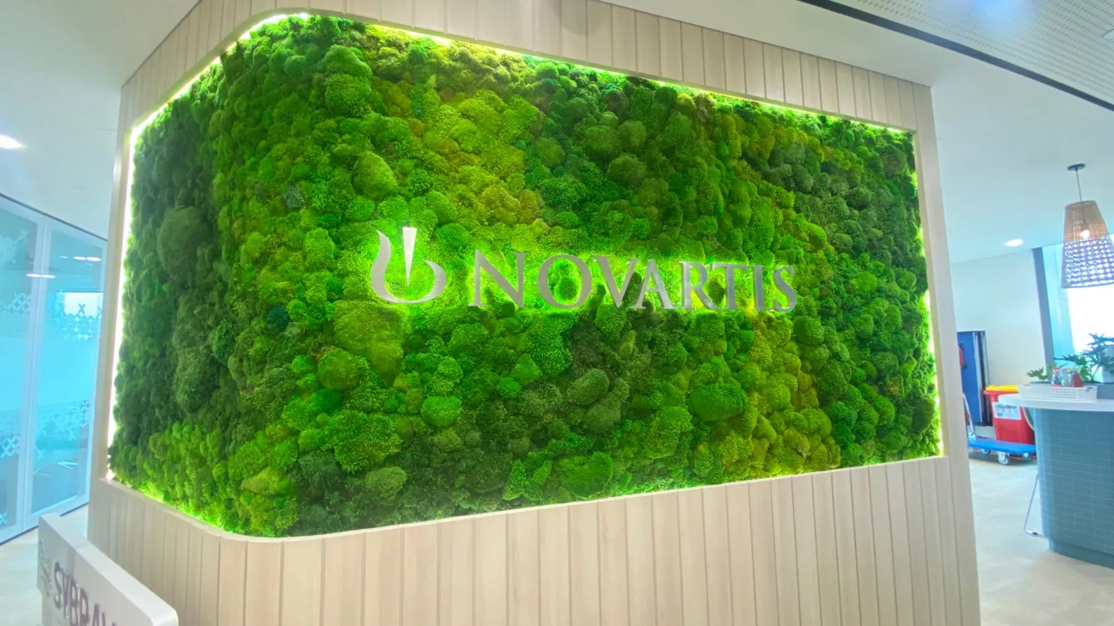 Jasa Wall Moss Decor Frame